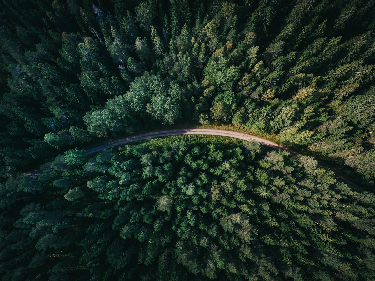 Imagen ilustrativa de «Caminar como meditación»